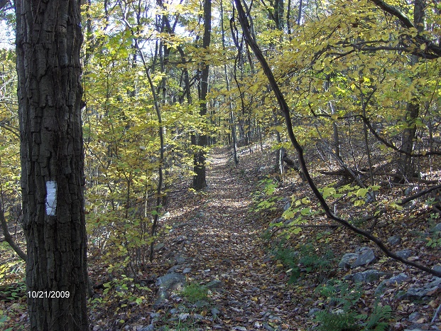 http://cnyhiking.com/HahnsLookout855.JPG