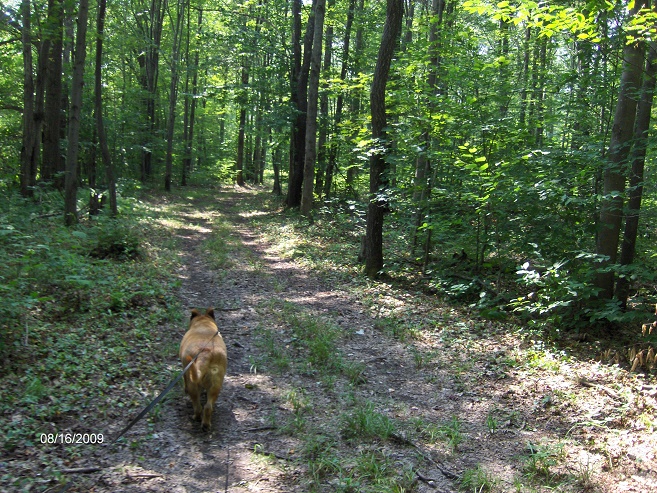 http://cnyhiking.com/HPIM8839.JPG