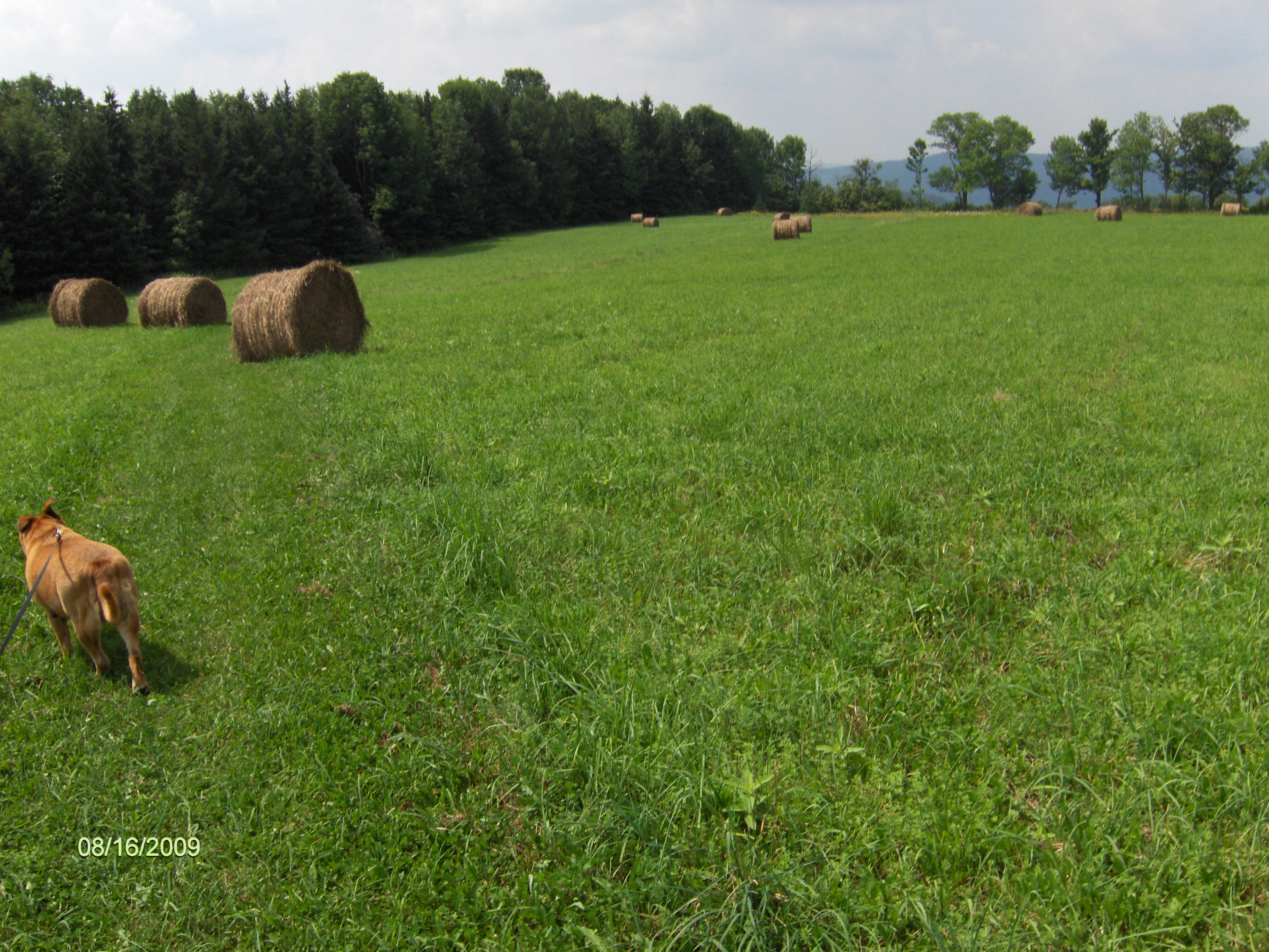 http://cnyhiking.com/HPIM8861.JPG