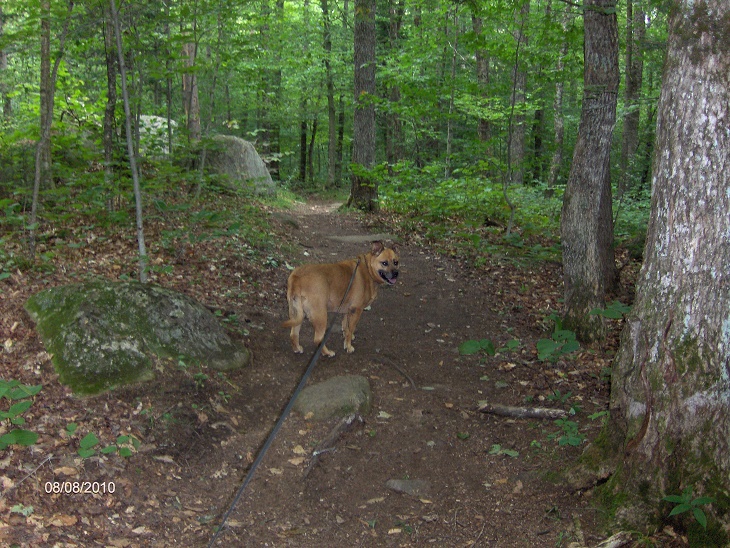 http://cnyhiking.com/HPIM5913.JPG