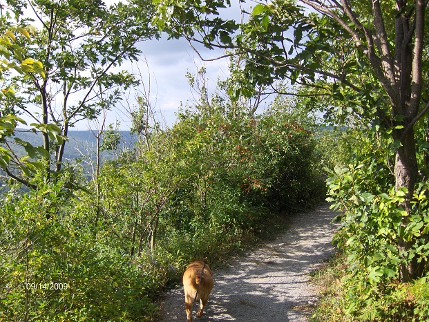 http://cnyhiking.com/HPIM9681.JPG