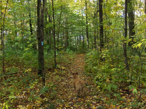 http://cnyhiking.com/10082009003.JPG