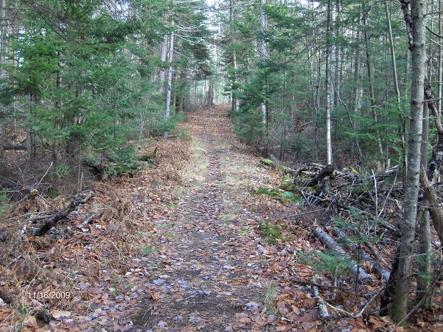 http://cnyhiking.com/StonyPondTrail0101.JPG