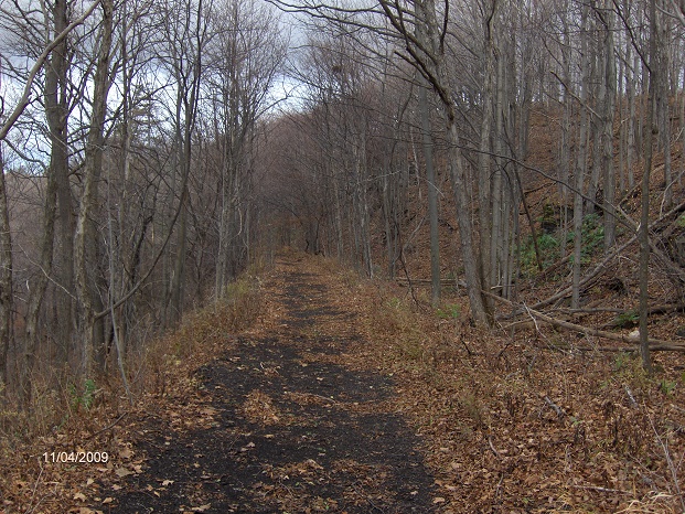 http://cnyhiking.com/NCT-Perryville1238.JPG