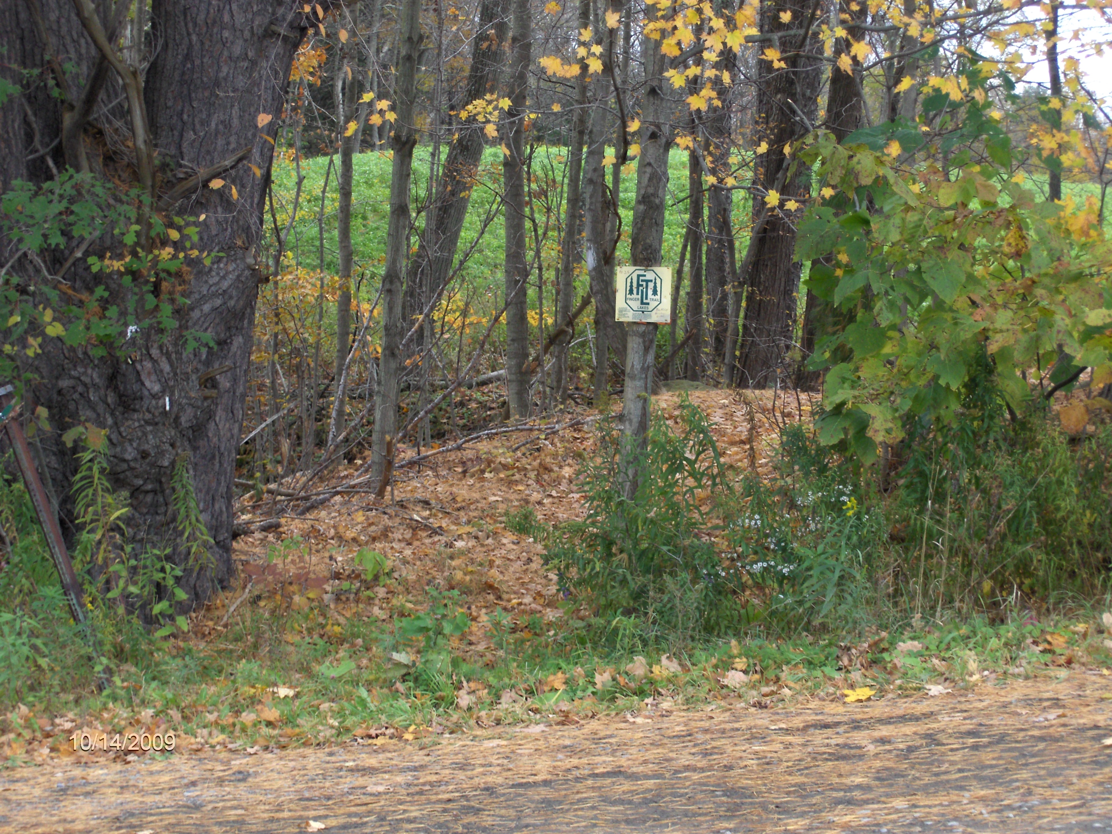 http://cnyhiking.com/BowmanCreek102009002.JPG