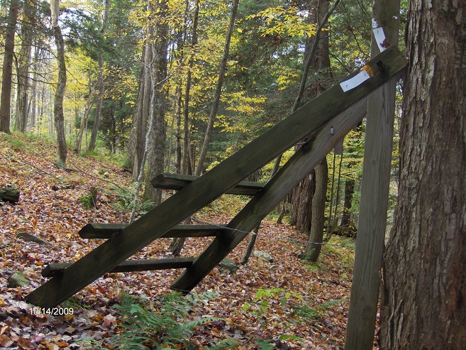 http://cnyhiking.com/BowmanCreek102009004.JPG