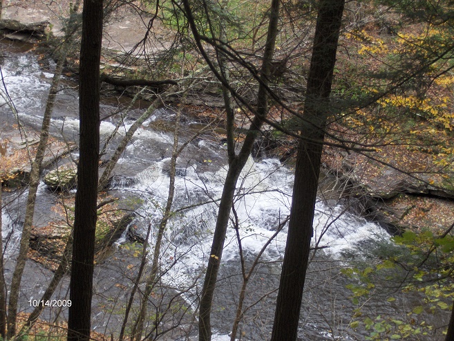 http://cnyhiking.com/BowmanCreek102009036.JPG