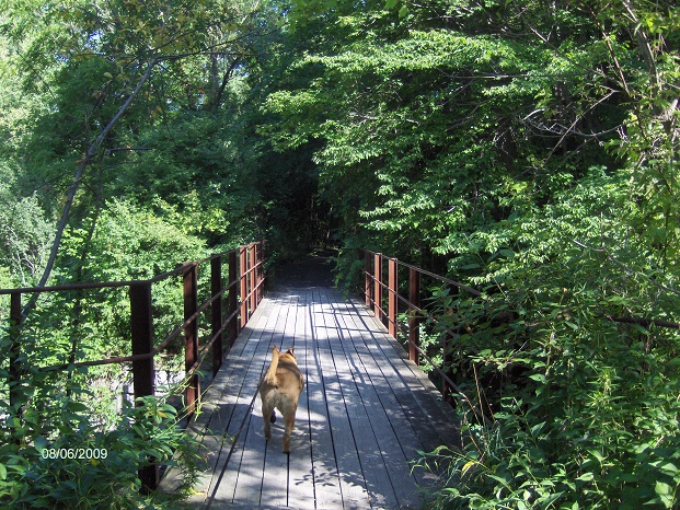 http://cnyhiking.com/HPIM8400.JPG