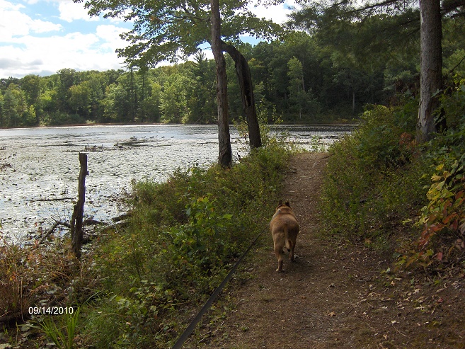 http://cnyhiking.com/ChenangoValleySP6437.JPG