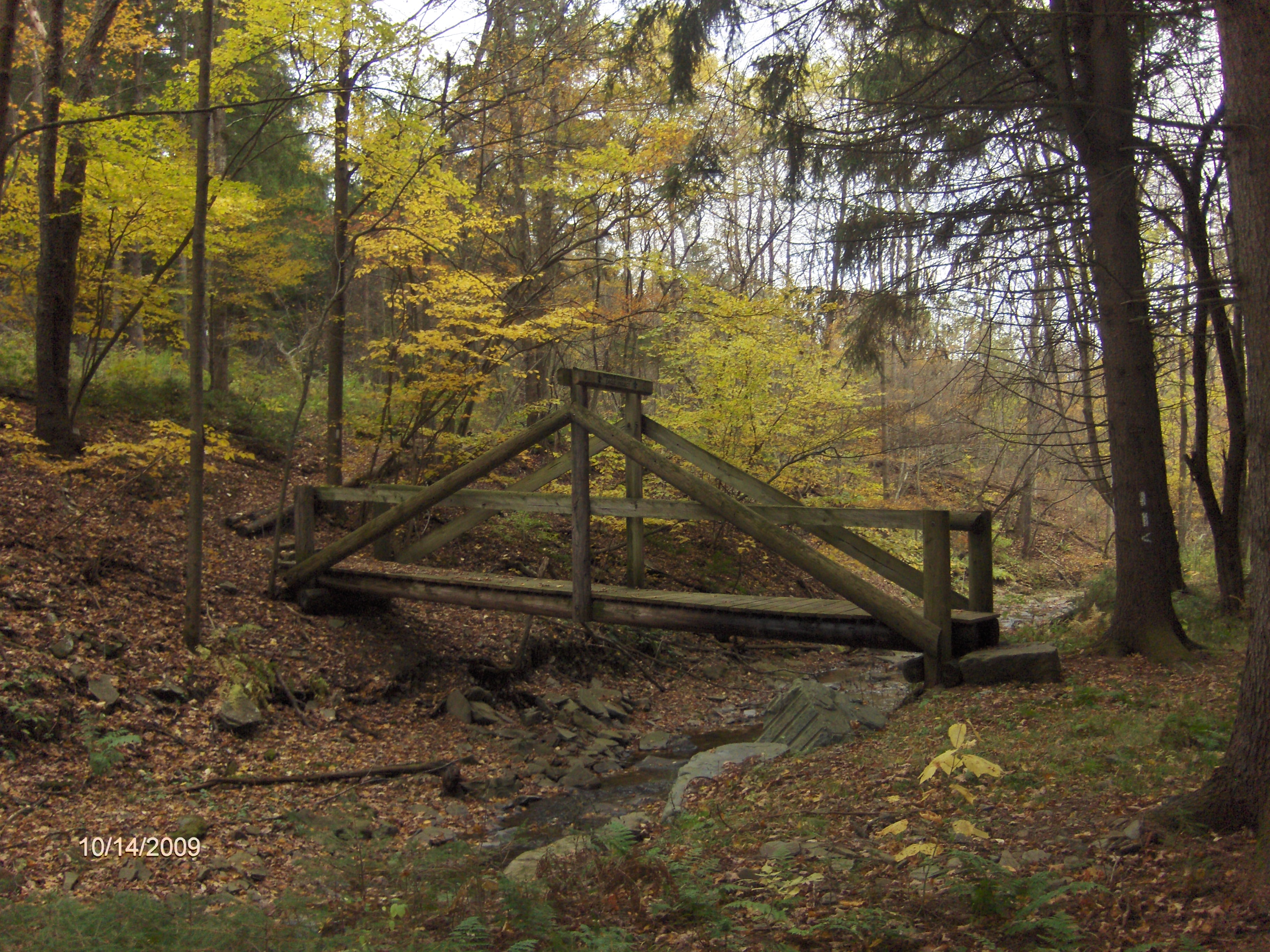 http://cnyhiking.com/DryBrookBridge001.JPG