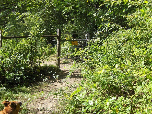http://cnyhiking.com/HPIM9267.JPG