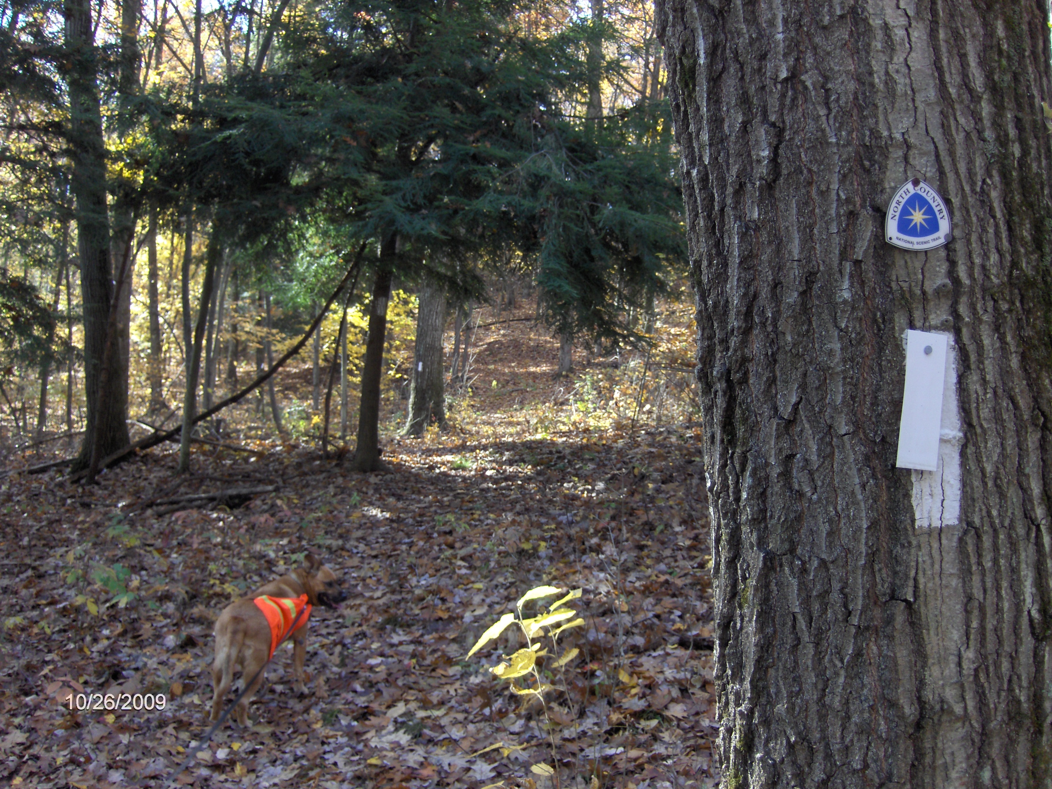 http://cnyhiking.com/HPIM0893.JPG