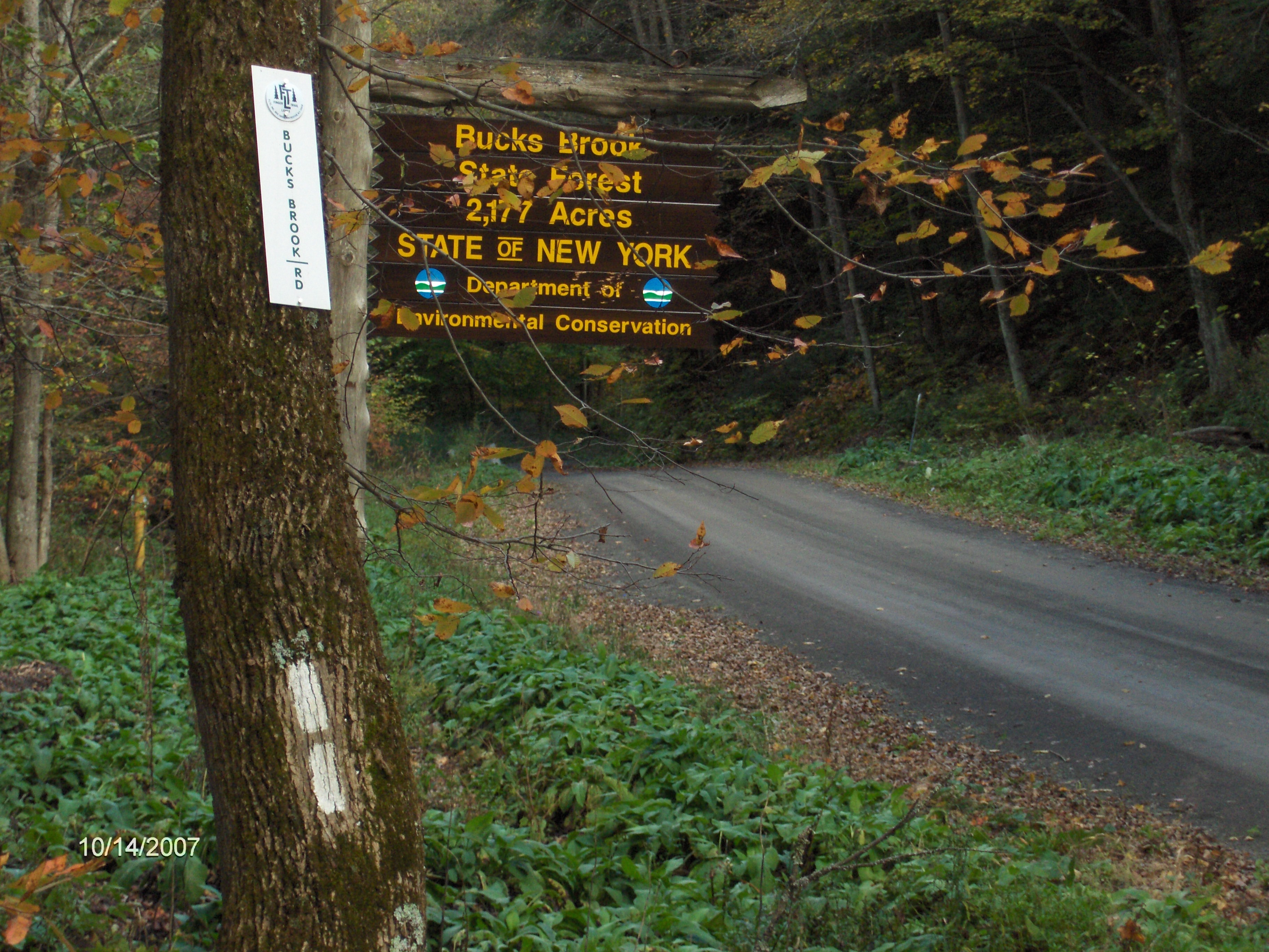 FLT Bucks Brook State Forest