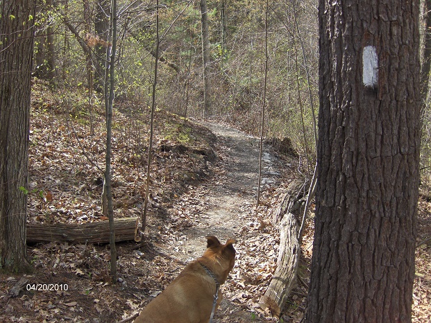 http://cnyhiking.com/HPIM2927.JPG
