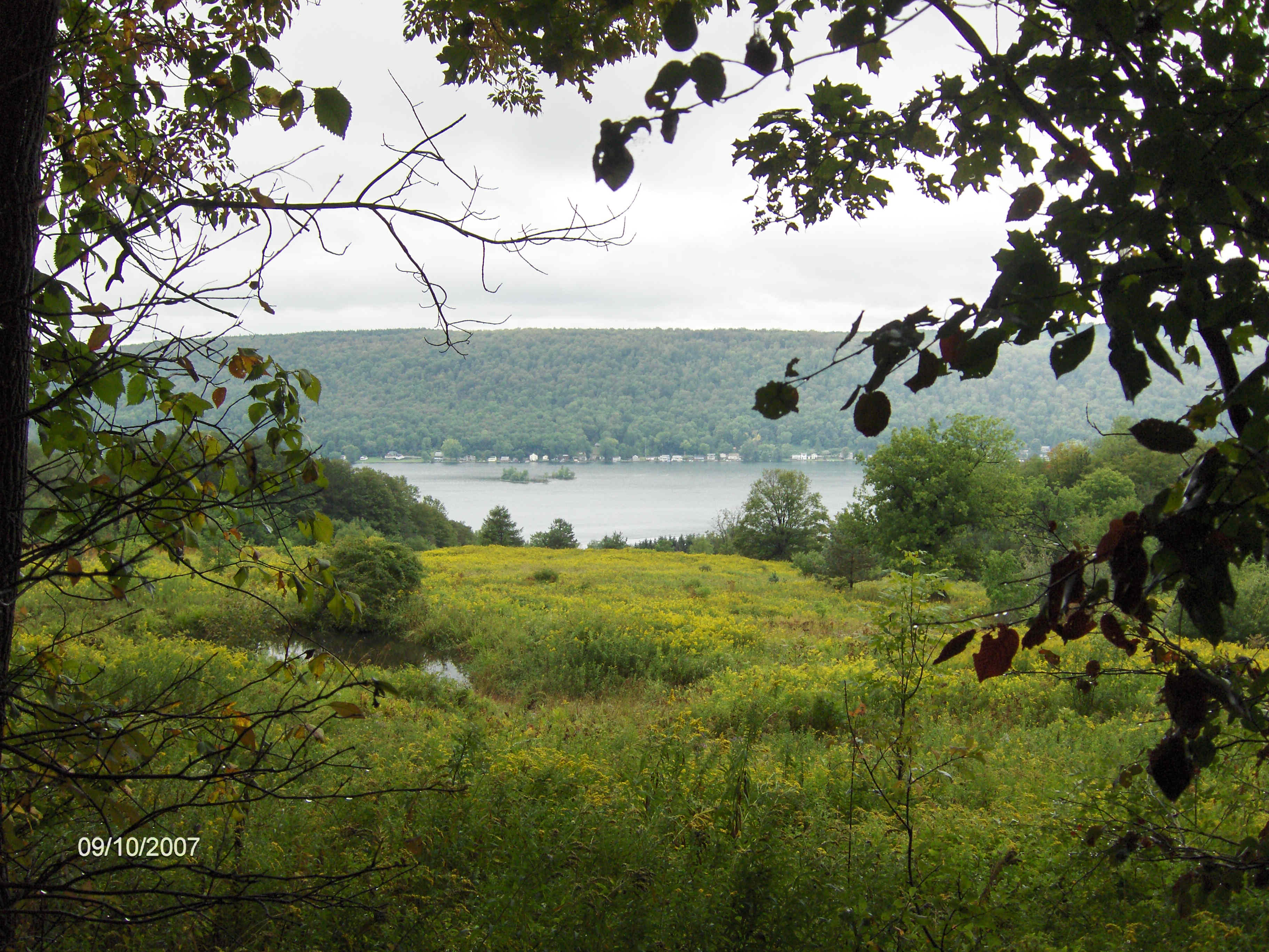 NCT DeRuyter State Forest