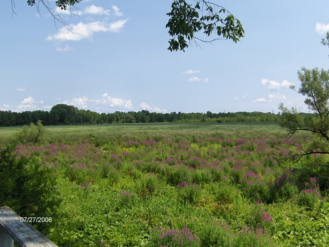 http://cnyhiking.com/HPIM6257.JPG