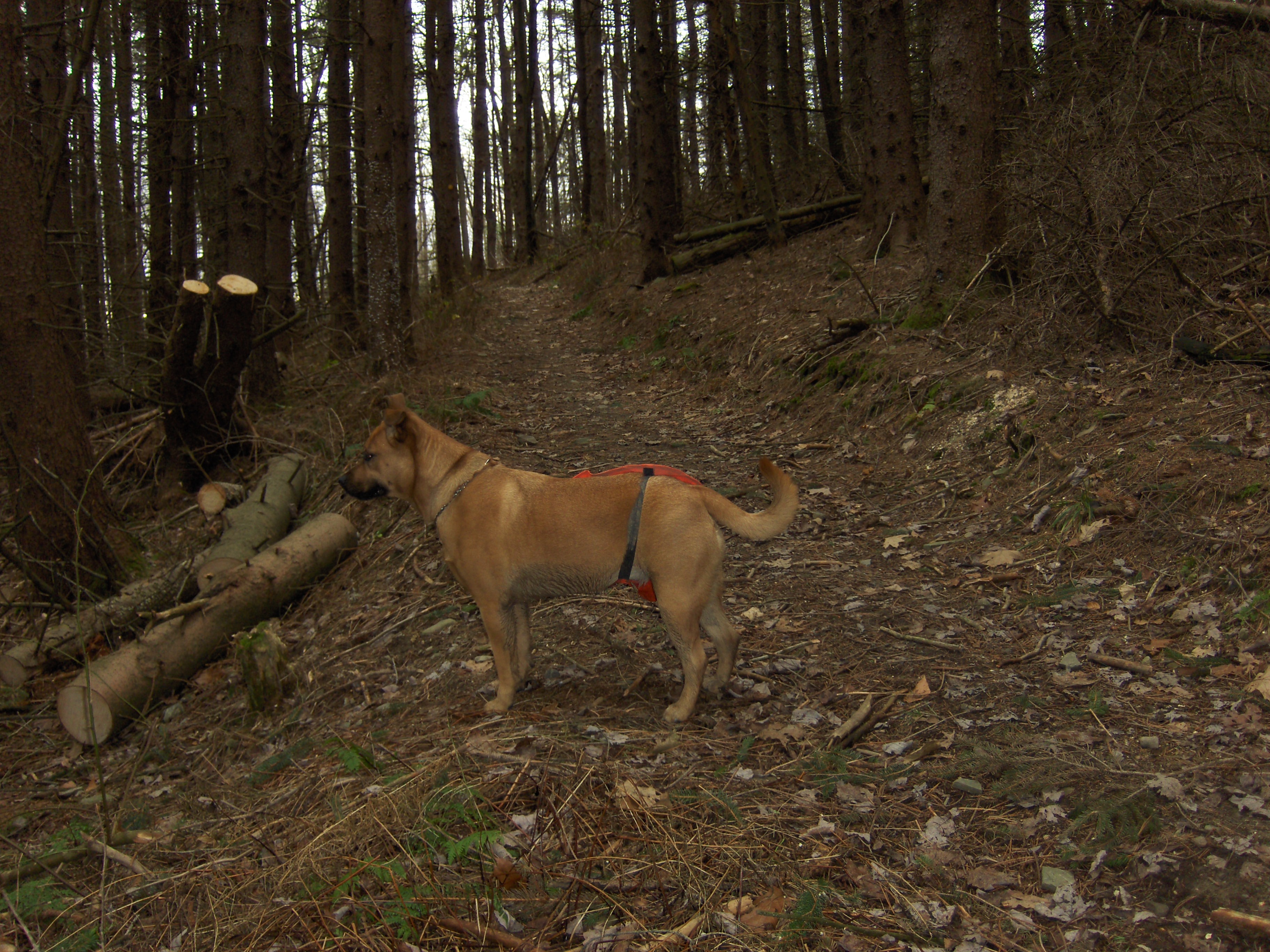 http://cnyhiking.com/HPIM0028.JPG