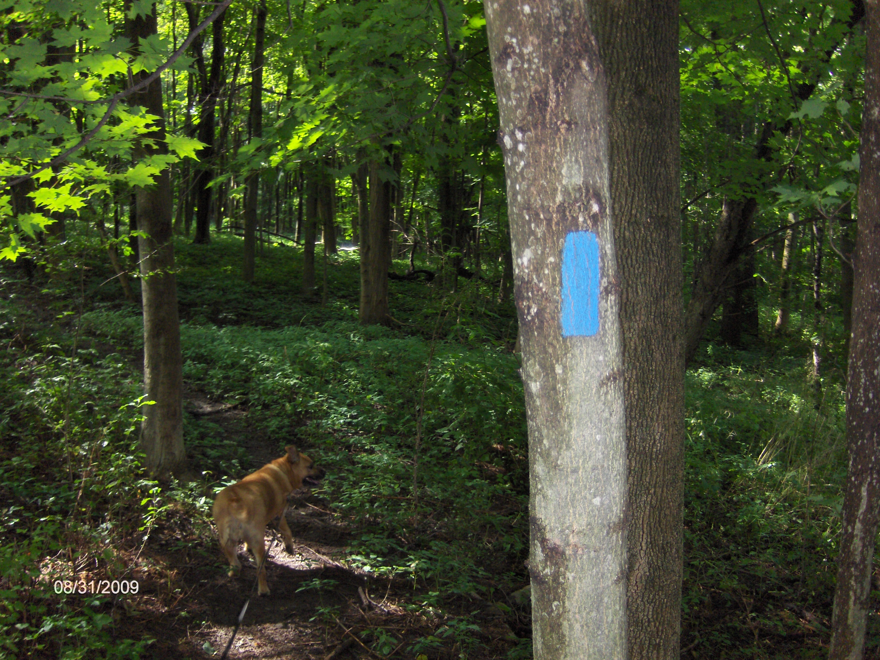http://cnyhiking.com/HPIM9036.JPG