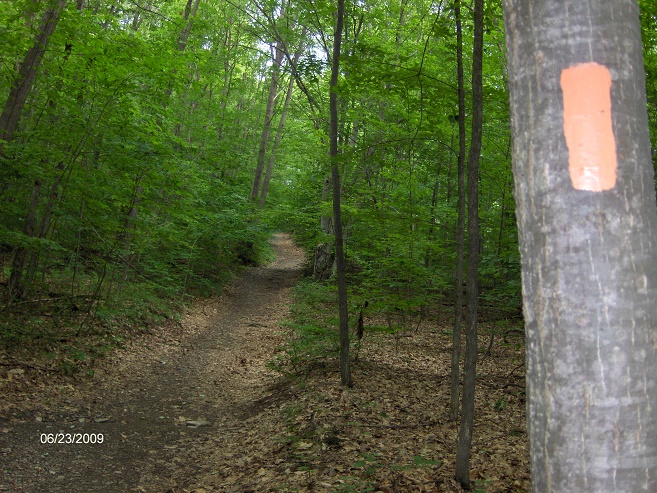 http://cnyhiking.com/HPIM8112.JPG