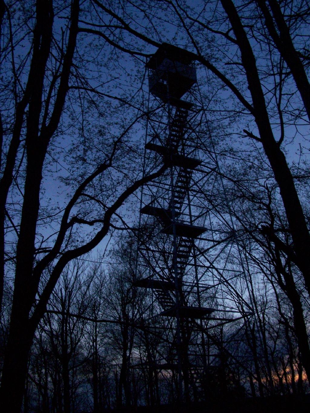 nycphoto 4185