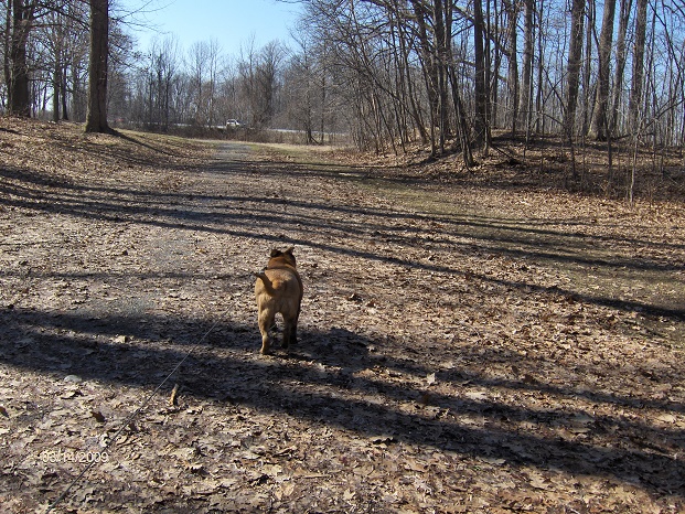 http://cnyhiking.com/HPIM7166.JPG