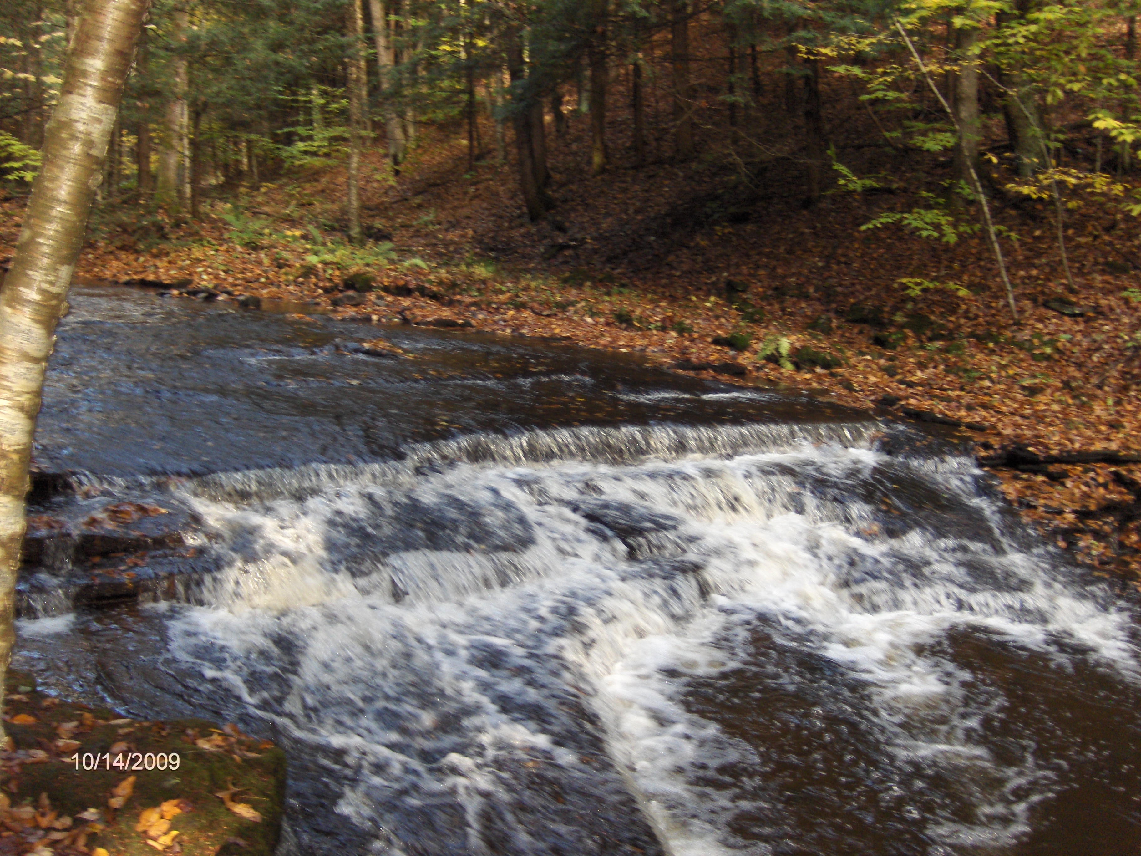 http://cnyhiking.com/LudlowCreek102009016.JPG