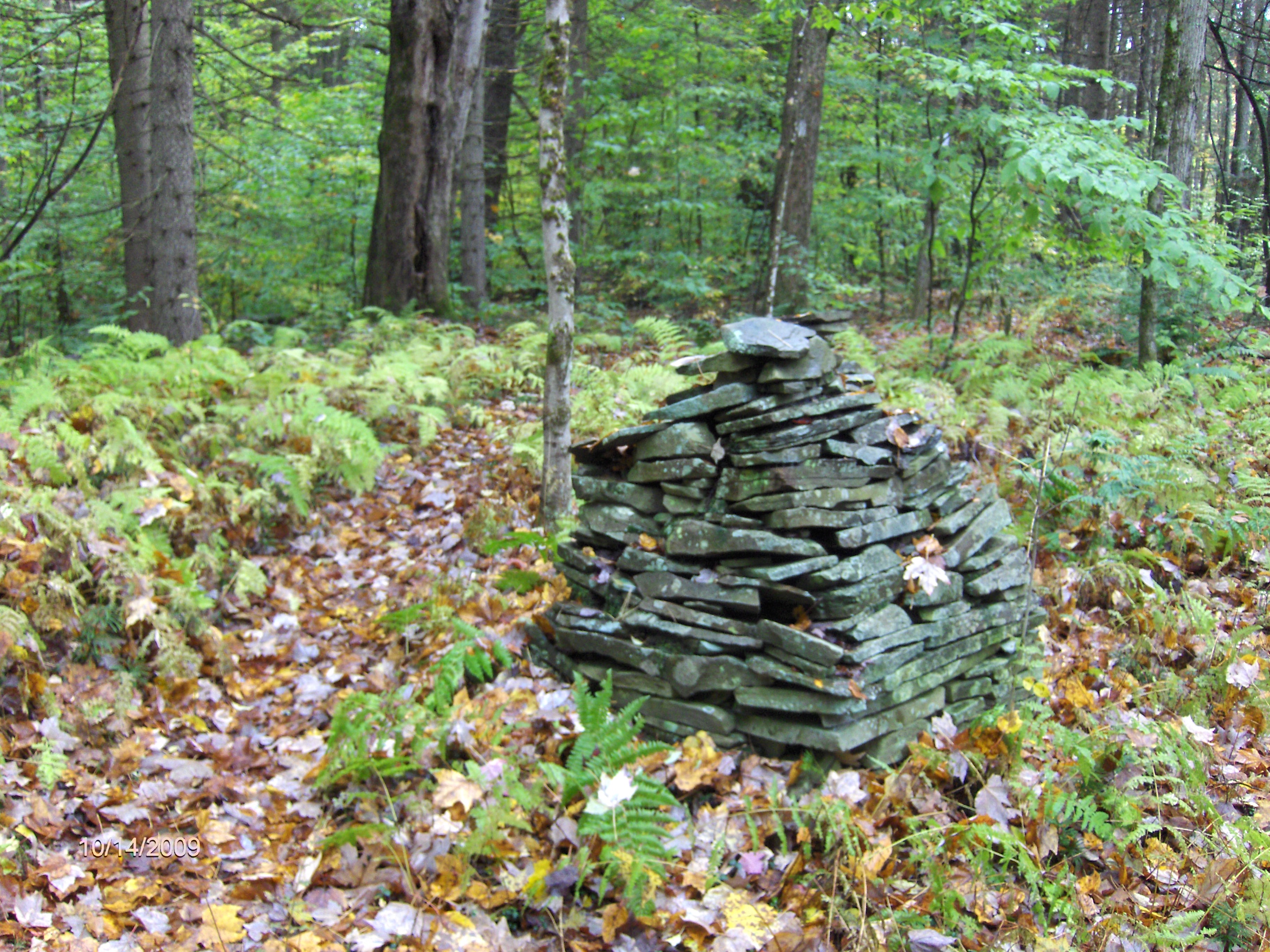 http://cnyhiking.com/LudlowCreek102009026.JPG