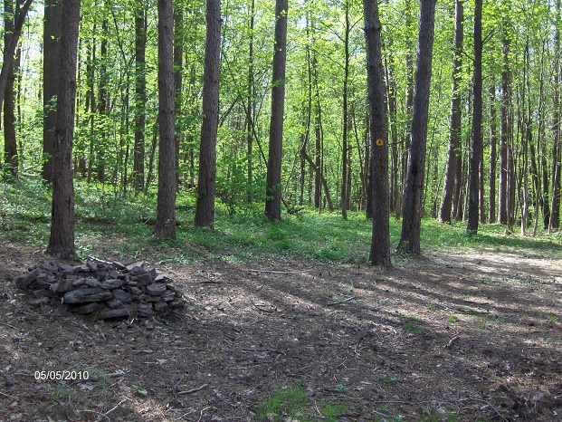 http://cnyhiking.com/MarySmithHill3360.JPG