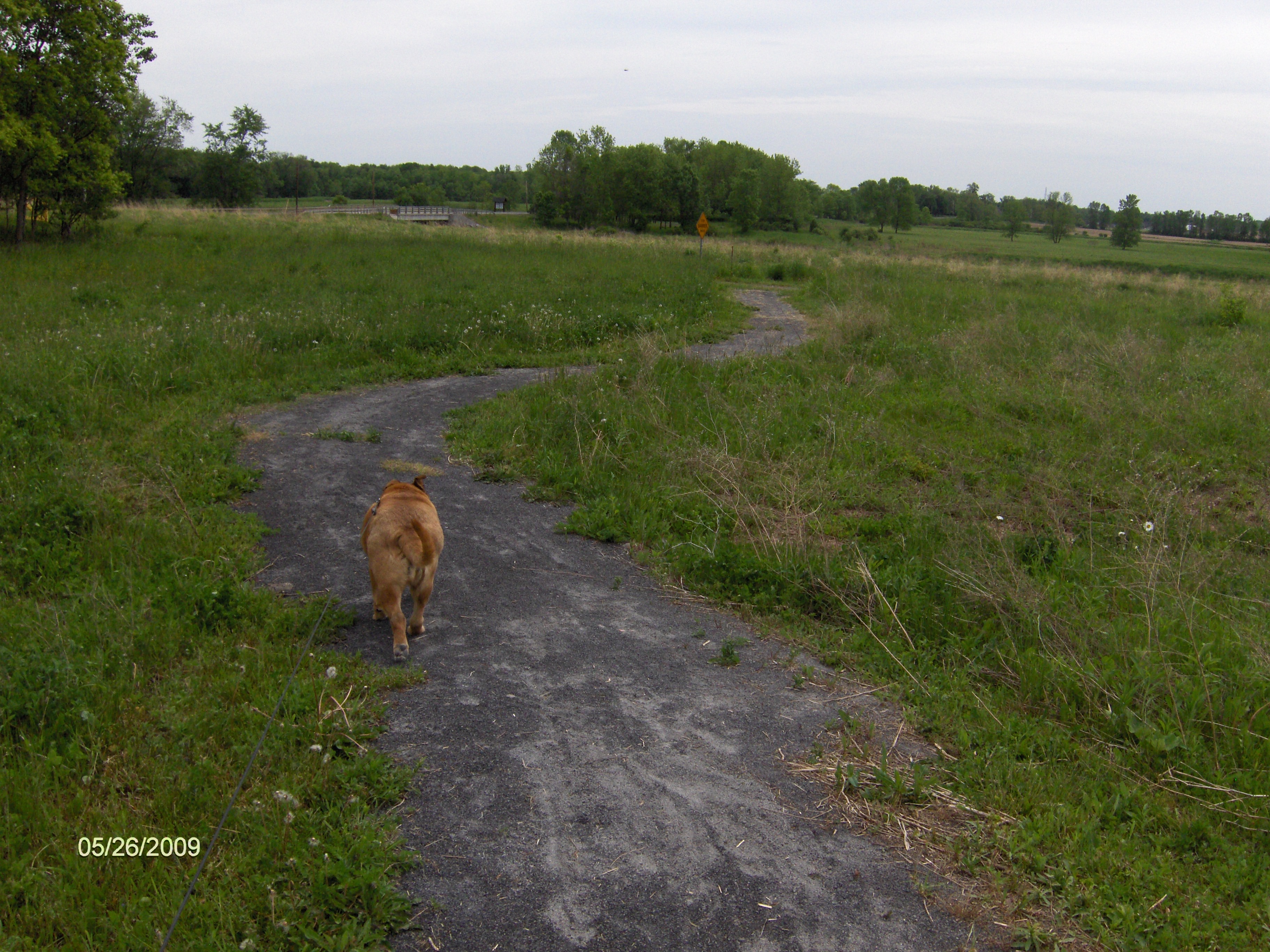 http://cnyhiking.com/HPIM7767.JPG