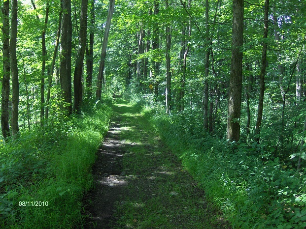 http://cnyhiking.com/HPIM6014.JPG