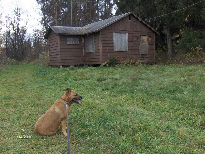 http://cnyhiking.com/NYSP-Beechwood8014.JPG