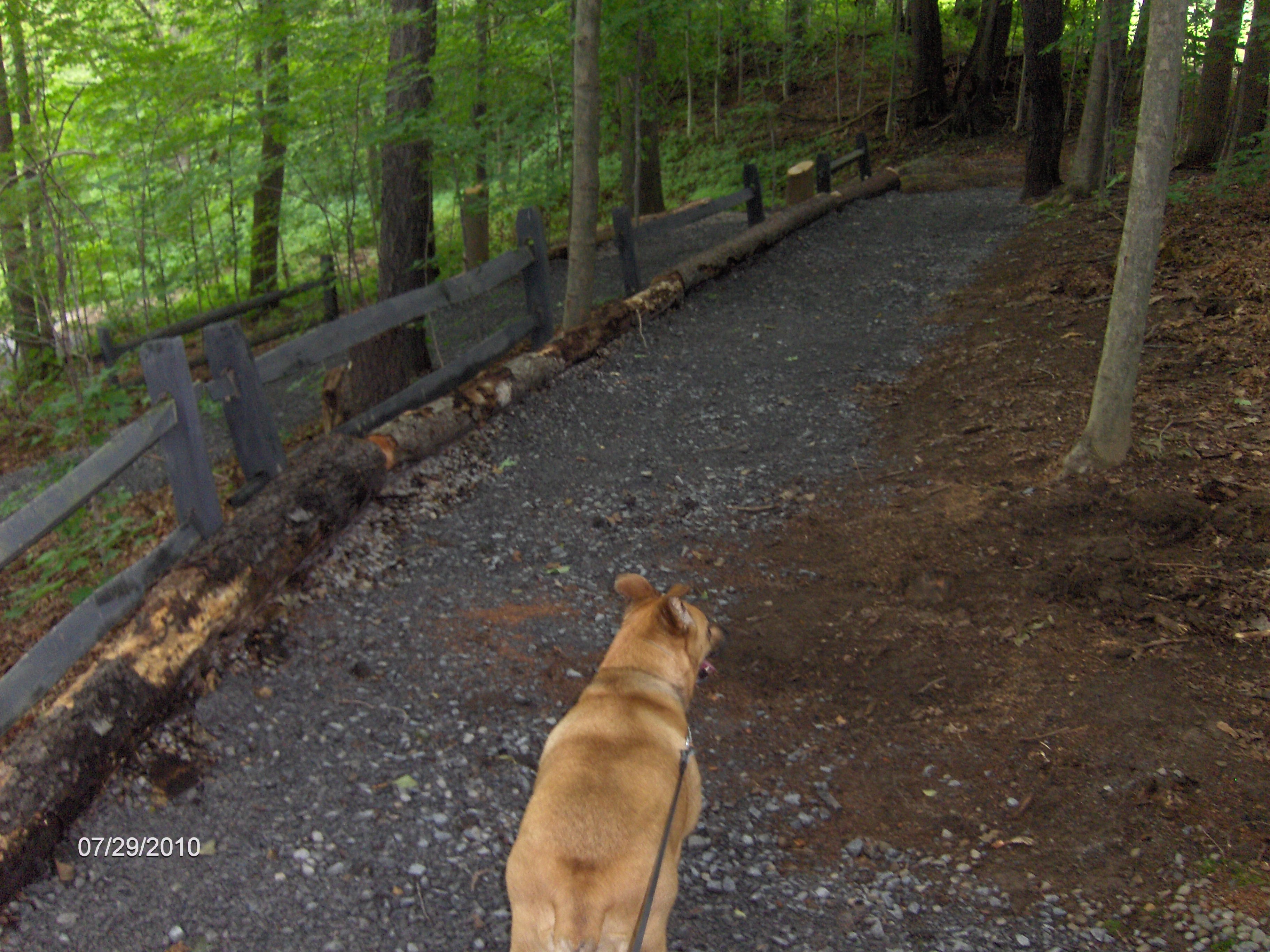 http://cnyhiking.com/HPIM5515.JPG