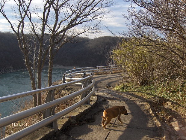 http://cnyhiking.com/NYSP-Whirlpool8337.JPG
