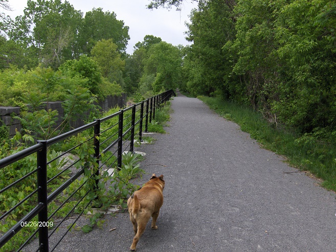 http://cnyhiking.com/HPIM7705.JPG