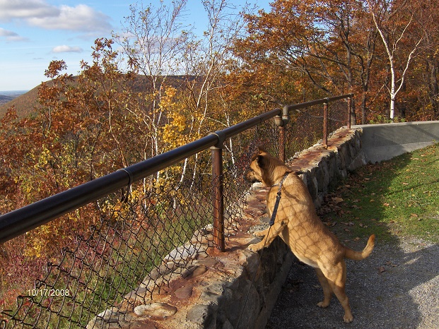 http://cnyhiking.com/HPIM7081.JPG