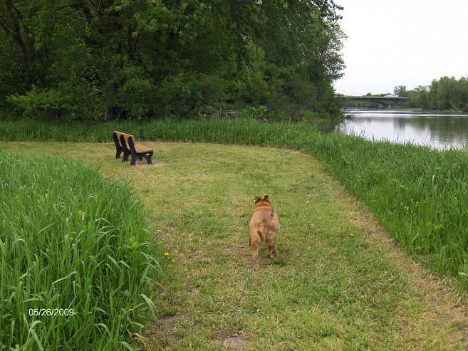http://cnyhiking.com/HPIM7826.JPG