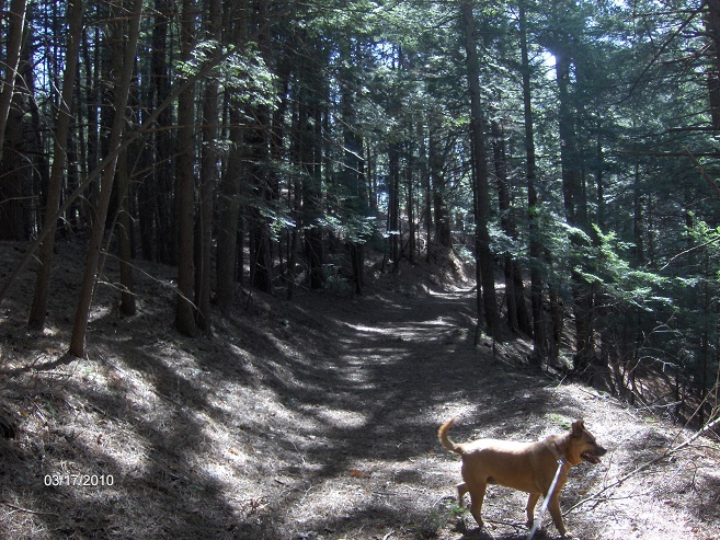 http://cnyhiking.com/HPIM2196.JPG