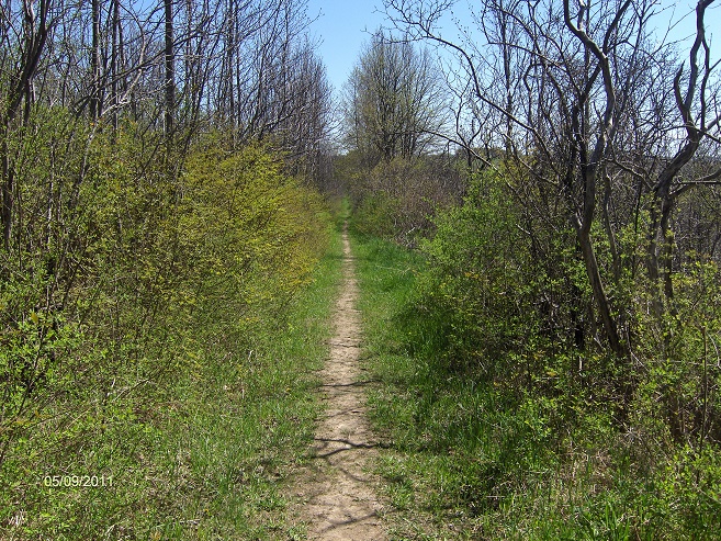 http://cnyhiking.com/SkaneatelesConservation%20Area8812.JPG