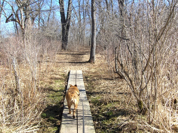 http://cnyhiking.com/HPIM7187.JPG