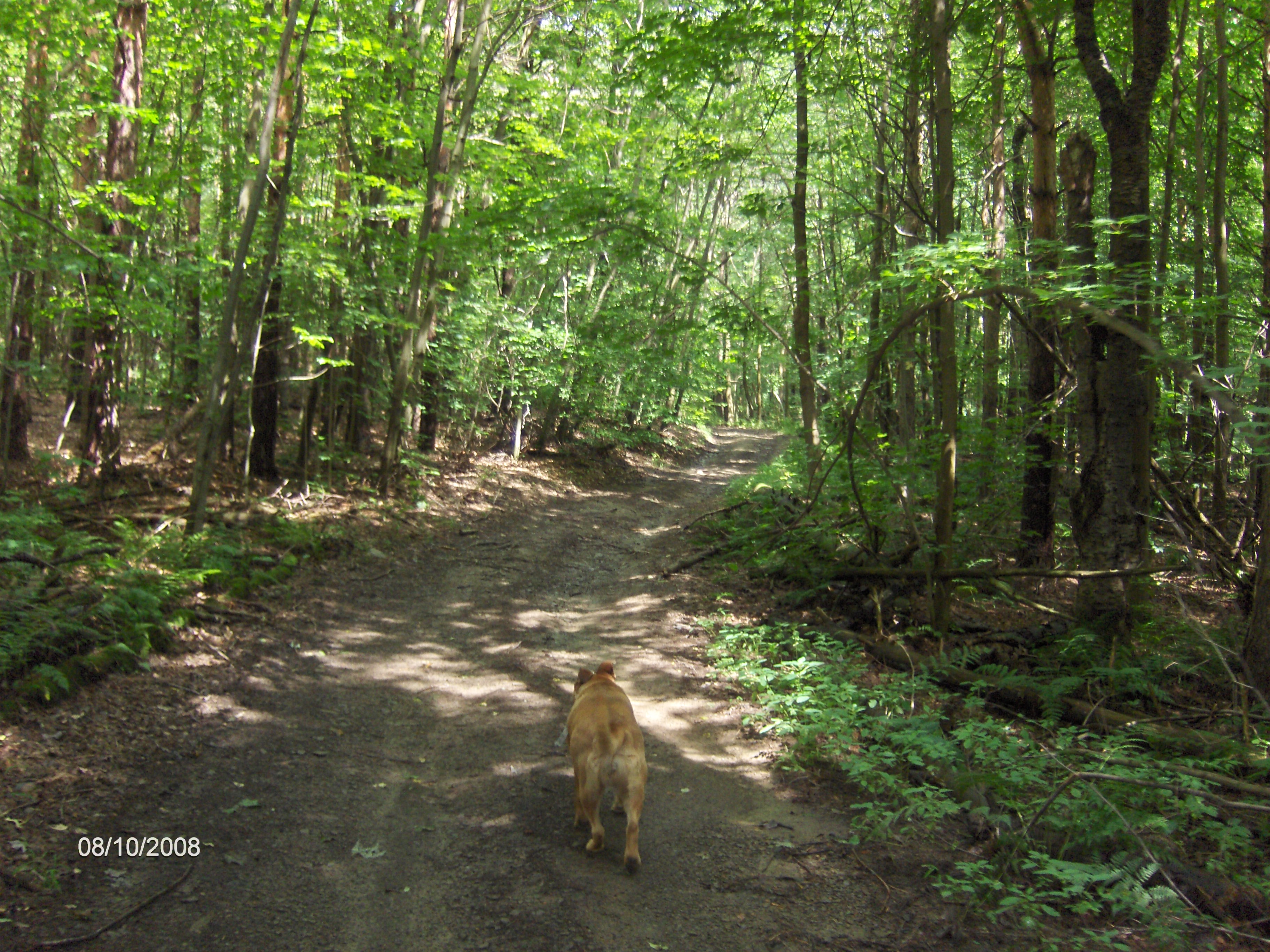 http://cnyhiking.com/HPIM6428.JPG