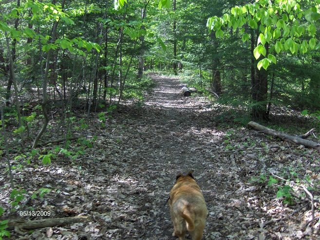 http://cnyhiking.com/HPIM7561.JPG